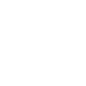 algioshy steel