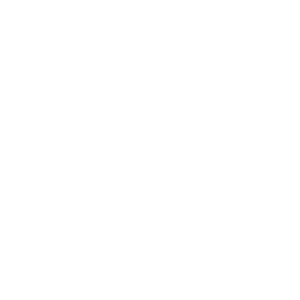 E-MOTION