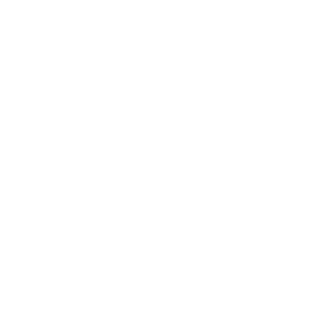 NILE PROJECTS
