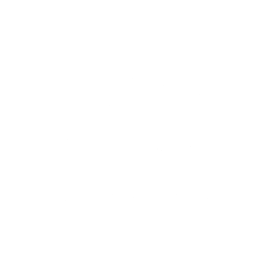 zam group